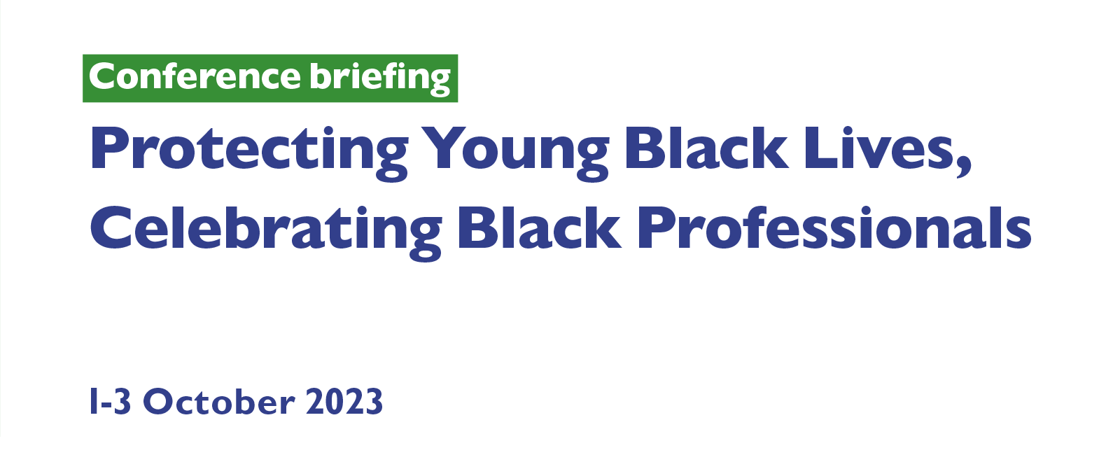 Header from the cover of the Protecting Young Black Lives, Celebrating Black Professionals Conference briefing